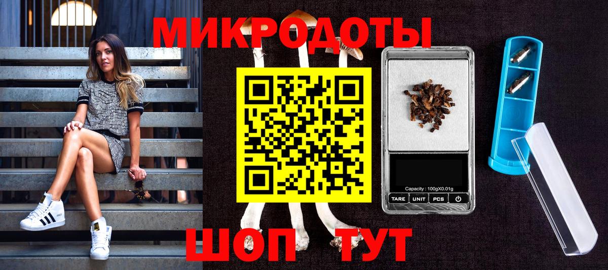 Псилоцибиновые грибы GOLDEN TEACHER Георгиевск